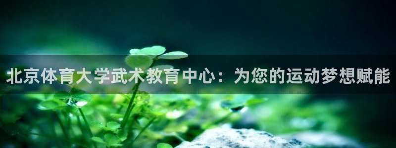 焦点娱乐公司简介怎么写