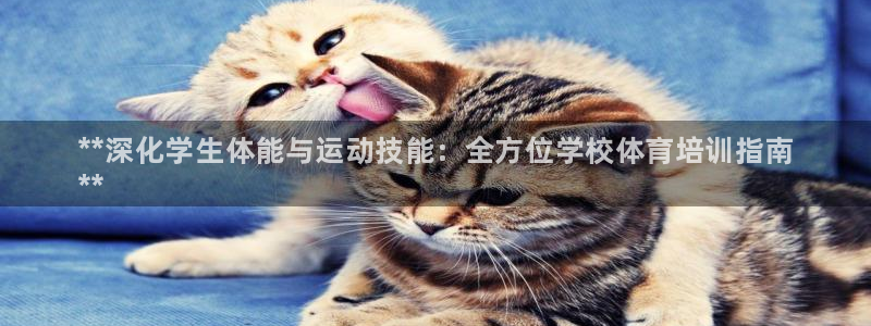 焦点娱乐平台注册账号安全吗知乎：**深化学生体能与运动技能：