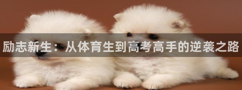 焦点娱乐股东是谁