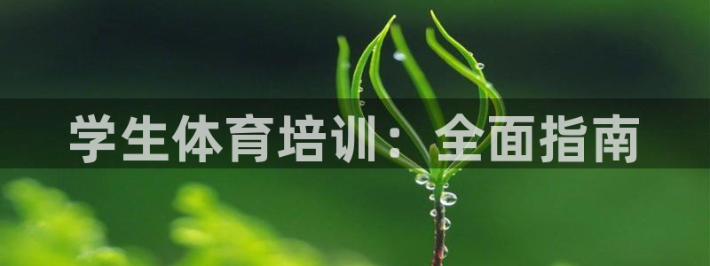 焦点娱乐游戏怎么玩教程：学生体育培训：全面指南