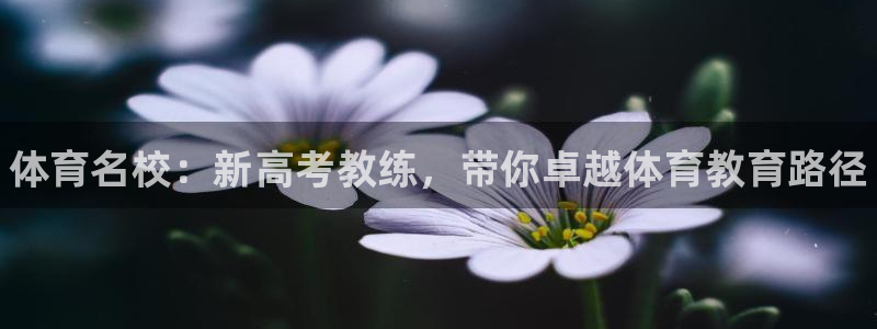 焦点娱乐公司简介图片：体育名校：新高考教练，带你卓越体育教育