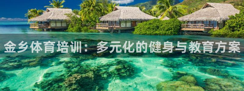 焦点娱乐下载手机版：金乡体育培训：多元化的健身与教育