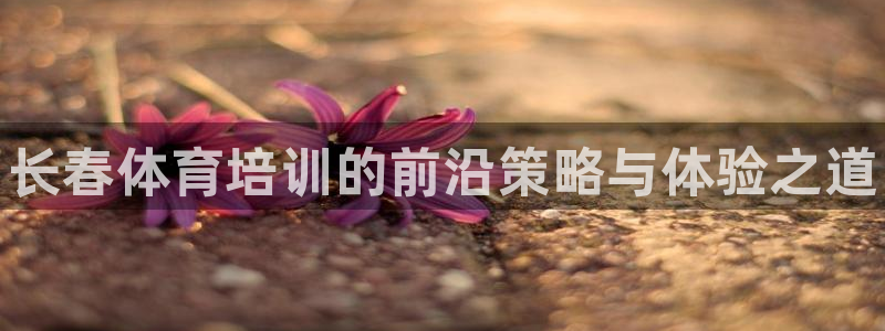 焦点娱乐传媒有限公司是干嘛的公司：长春体育培训的前沿