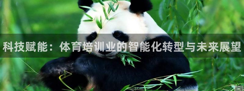 焦点娱乐软件版本下载：科技赋能：体育培训业的智能化转