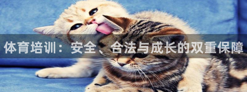 焦点娱乐下载手机版：体育培训：安全、合法与成长的双重