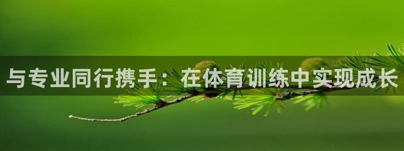 焦点娱乐app下载：与专业同行携手：在体育训练中实现成长