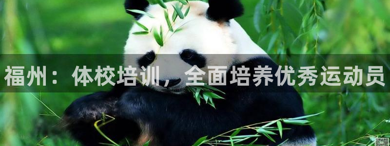 焦点娱乐是拉菲公司的吗知乎