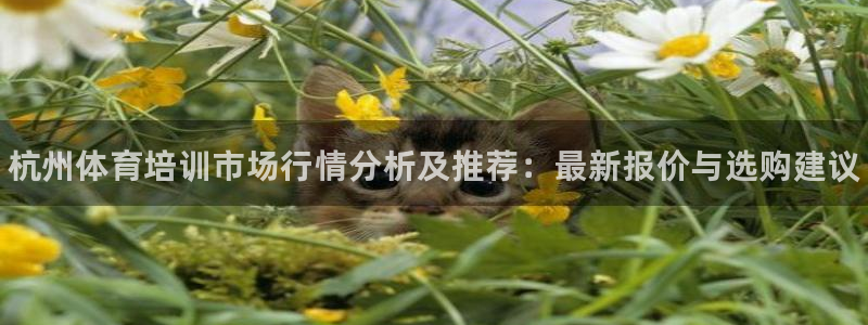 焦点娱乐不出款：杭州体育培训市场行情分析及推荐：最新报价与选