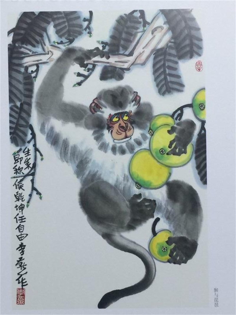 焦点平台官方网站图片