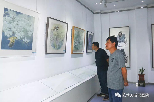 焦点平台官方网站图片