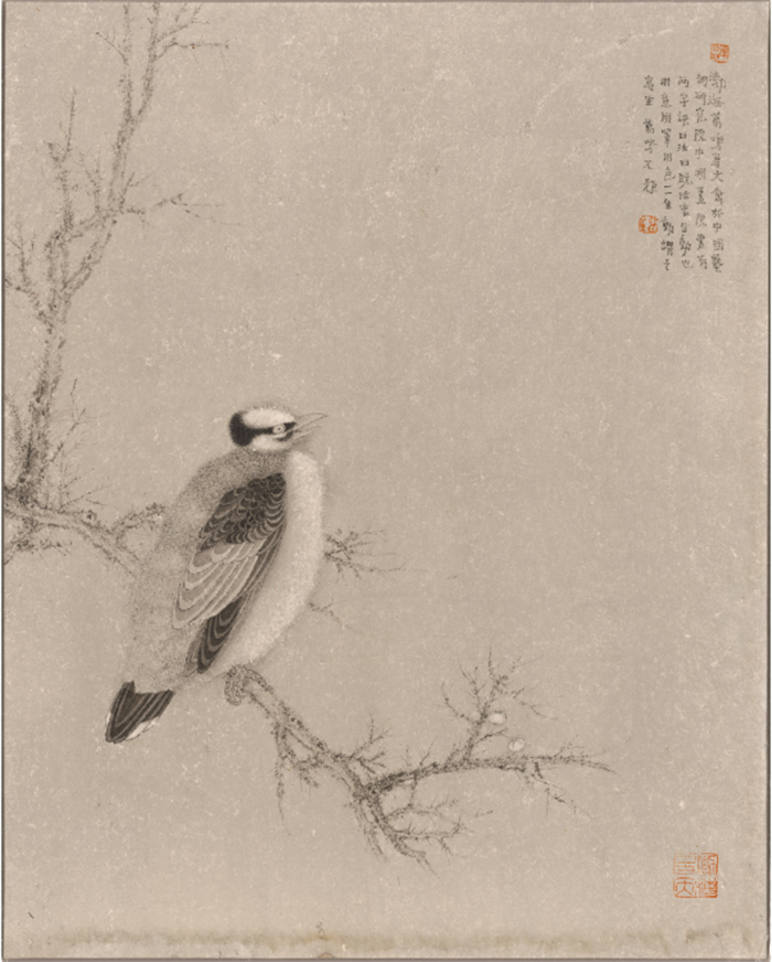 焦点平台官方网站图片