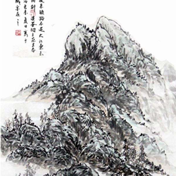 焦点平台官方网站图片