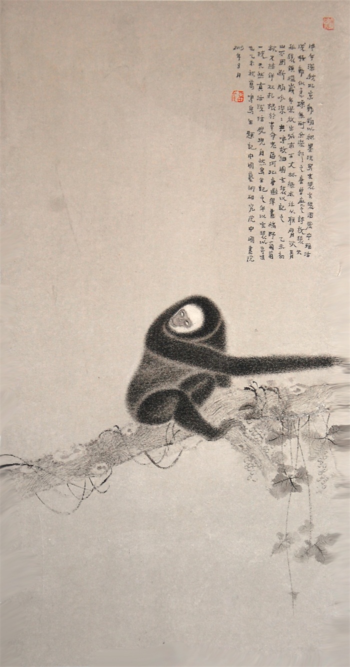 焦点平台官方网站图片