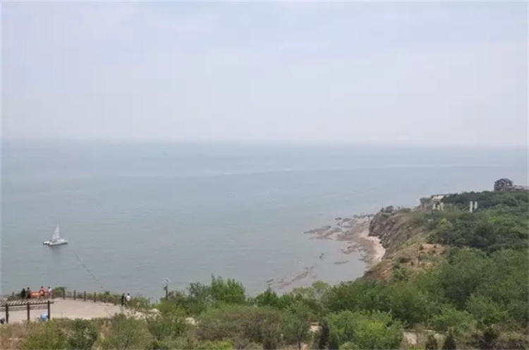 焦点平台官方网站图片