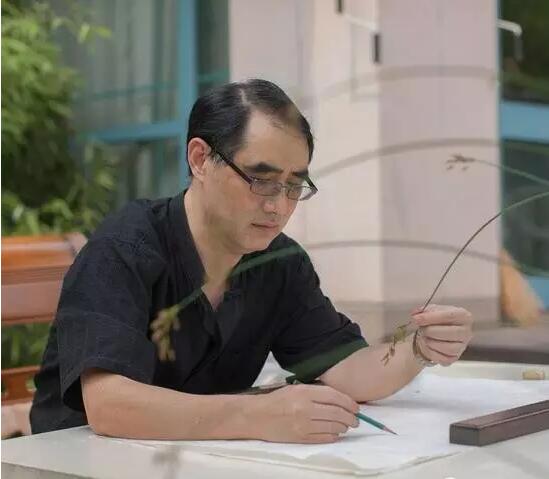 焦点平台官方网站图片