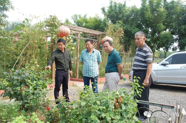焦点平台官方网站图片