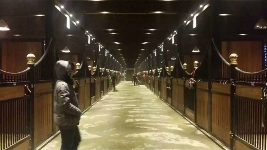 焦点平台官方网站图片