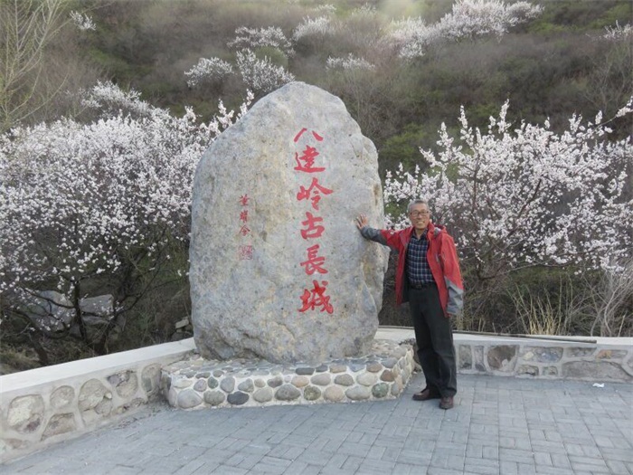 焦点平台官方网站图片