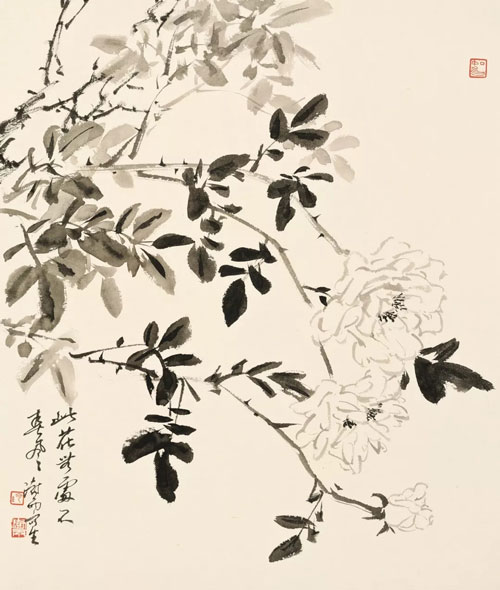 焦点平台官方网站图片