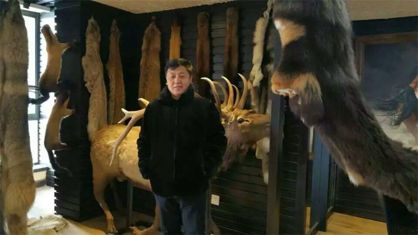 焦点平台官方网站图片