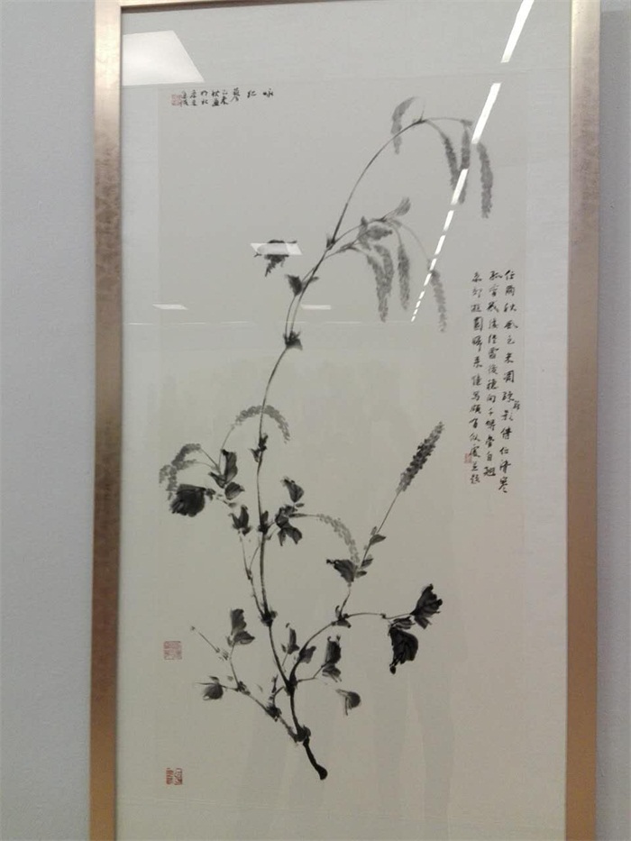 焦点平台官方网站图片